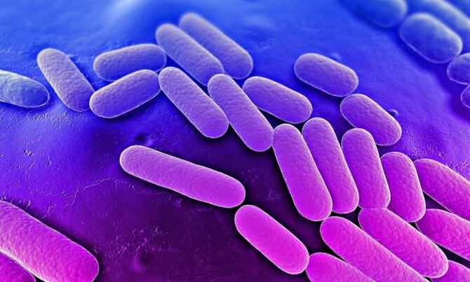 Les médicaments arrêtent la croissance des bactéries
